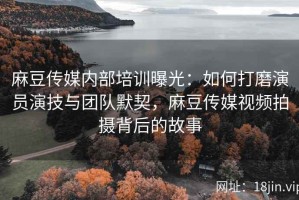 麻豆传媒内部培训曝光：如何打磨演员演技与团队默契，麻豆传媒视频拍摄背后的故事