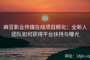 麻豆影业传媒在线项目孵化：全新人团队如何获得平台扶持与曝光
