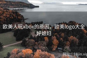 欧美人玩xbox的原因，欧美logo大全好媳妇