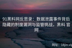 91黑料网反思录：数据泄露事件背后隐藏的制度漏洞与监管挑战，黑料 官网