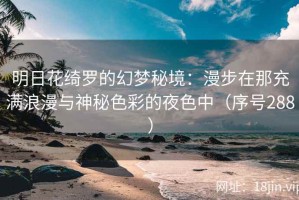 明日花绮罗的幻梦秘境：漫步在那充满浪漫与神秘色彩的夜色中（序号288）