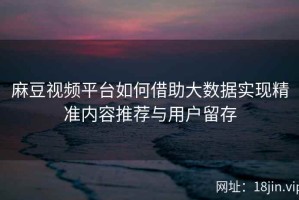 麻豆视频平台如何借助大数据实现精准内容推荐与用户留存