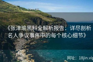 《张津瑜黑料全解析报告：详尽剖析名人争议事件中的每个核心细节》