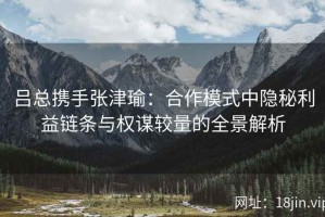吕总携手张津瑜：合作模式中隐秘利益链条与权谋较量的全景解析