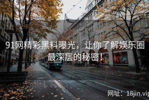 91网精彩黑料曝光，让你了解娱乐圈最深层的秘密！
