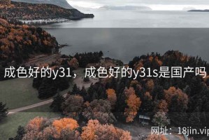 成色好的y31，成色好的y31s是国产吗