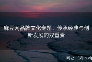 麻豆网品牌文化专题：传承经典与创新发展的双重奏
