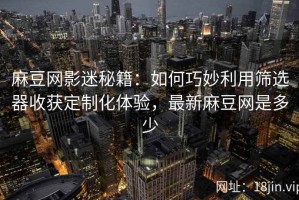 麻豆网影迷秘籍：如何巧妙利用筛选器收获定制化体验，最新麻豆网是多少