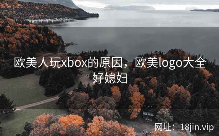 欧美人玩xbox的原因，欧美logo大全好媳妇