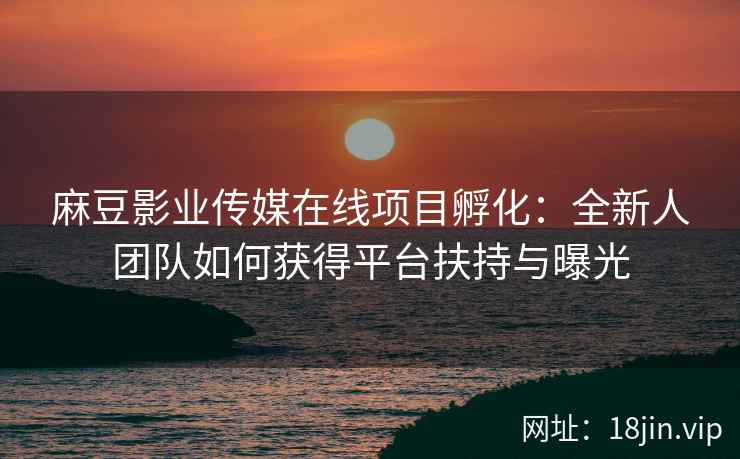 麻豆影业传媒在线项目孵化：全新人团队如何获得平台扶持与曝光