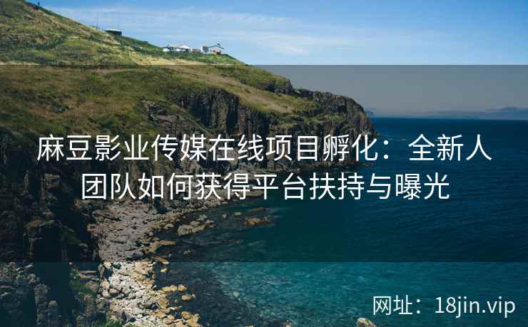 麻豆影业传媒在线项目孵化：全新人团队如何获得平台扶持与曝光
