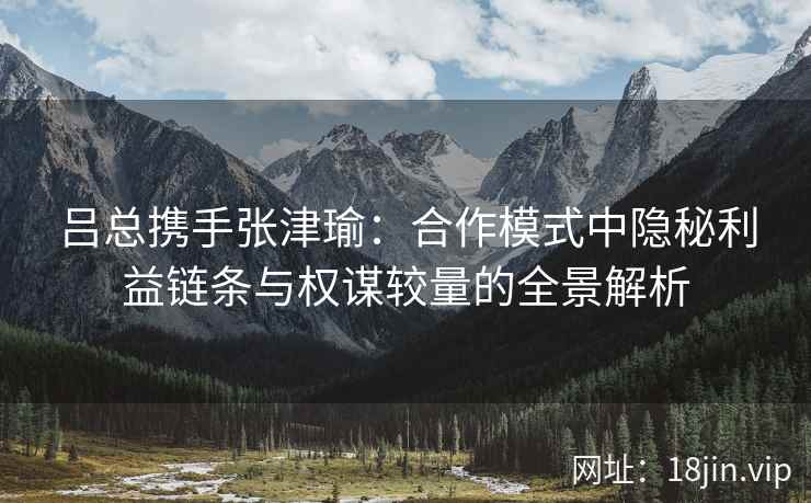 吕总携手张津瑜：合作模式中隐秘利益链条与权谋较量的全景解析